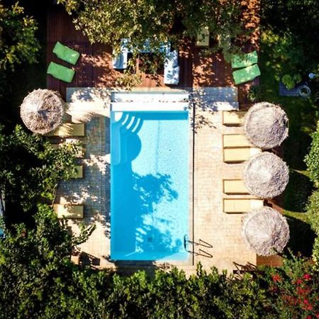 Turdus Merula Retreat Nea Makri Ngoại thất bức ảnh
