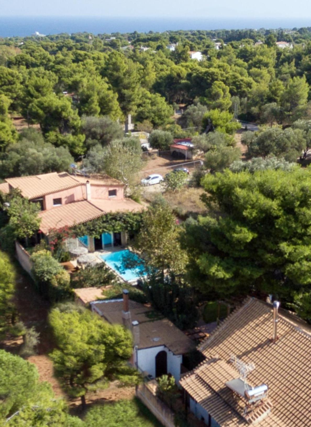 Turdus Merula Retreat Nea Makri Ngoại thất bức ảnh